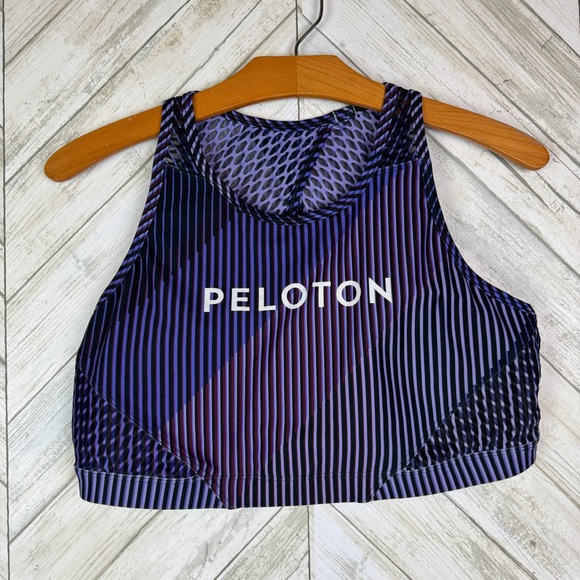 Peloton Array of Color Purple Striped Wear It To Heart WITH Sports Bra - Picture 1 of 9